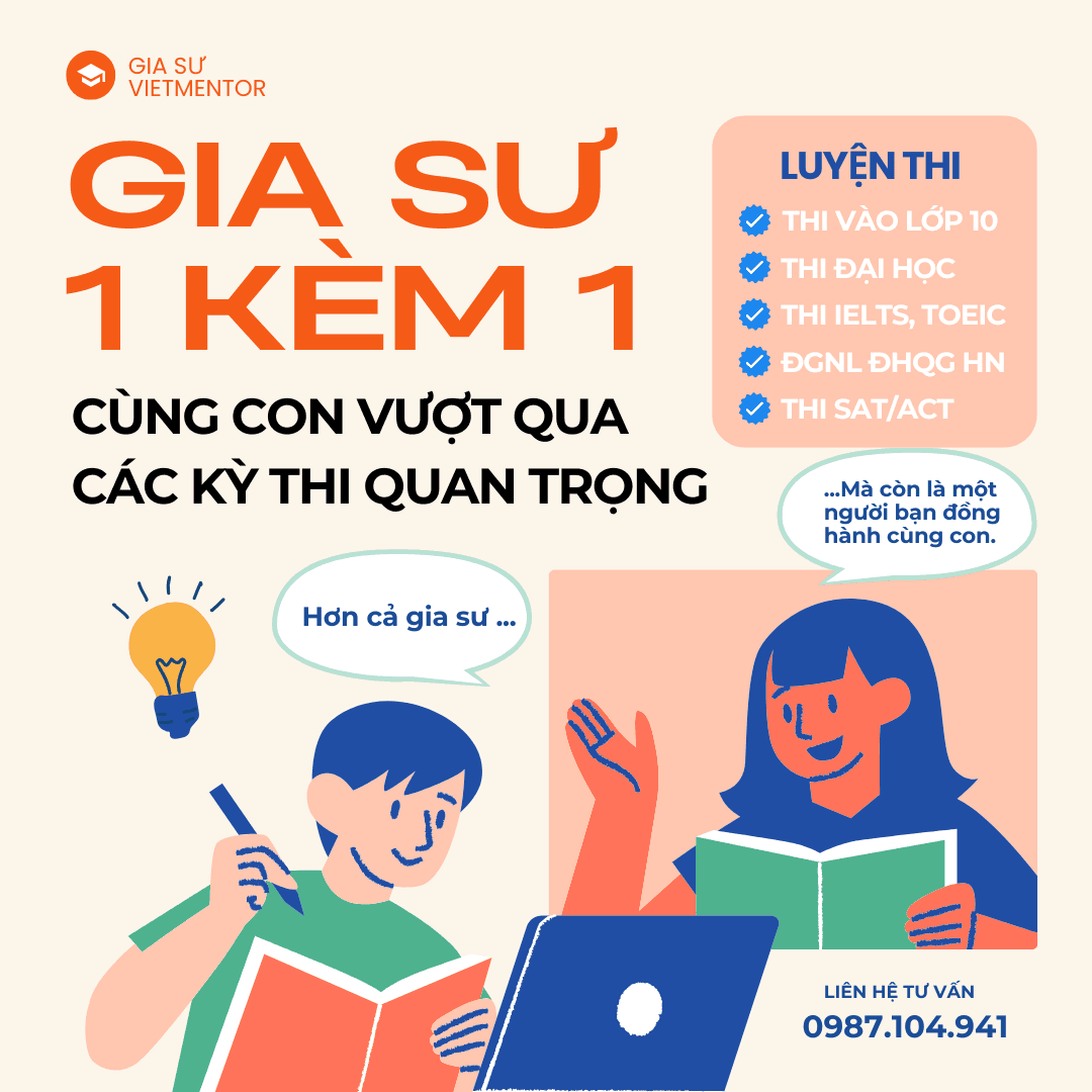 Vietmentor content 3