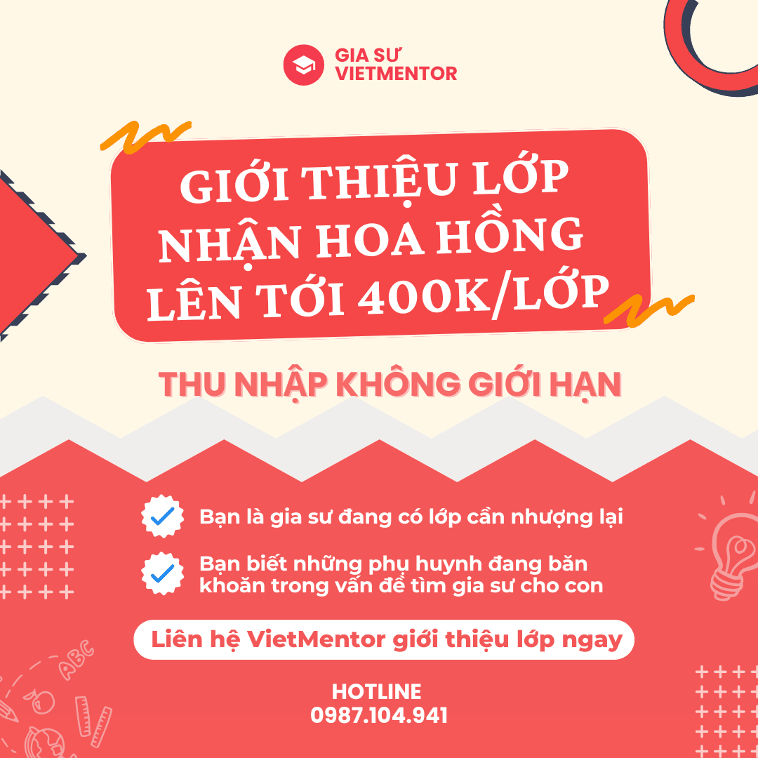 Vietmentor content 4